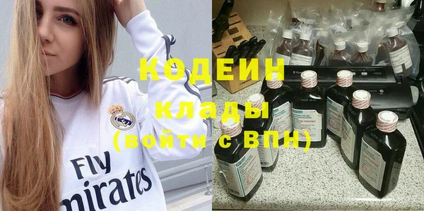 молекула духа Богородицк