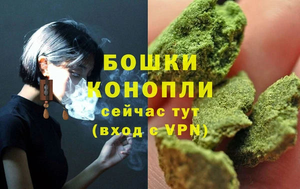 молекула духа Богородицк