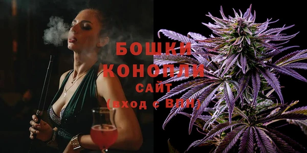 стафф Бородино