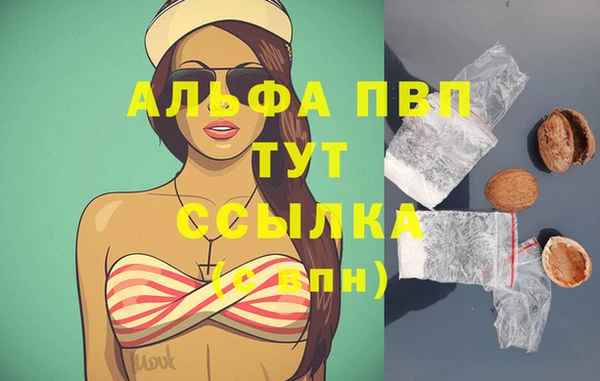 молекула духа Богородицк