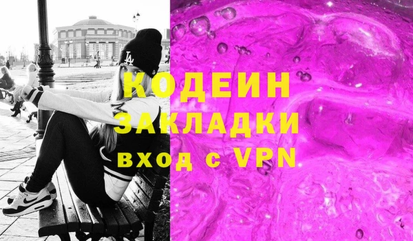 молекула духа Богородицк