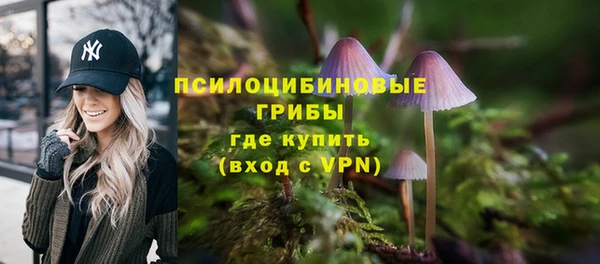 стафф Бородино